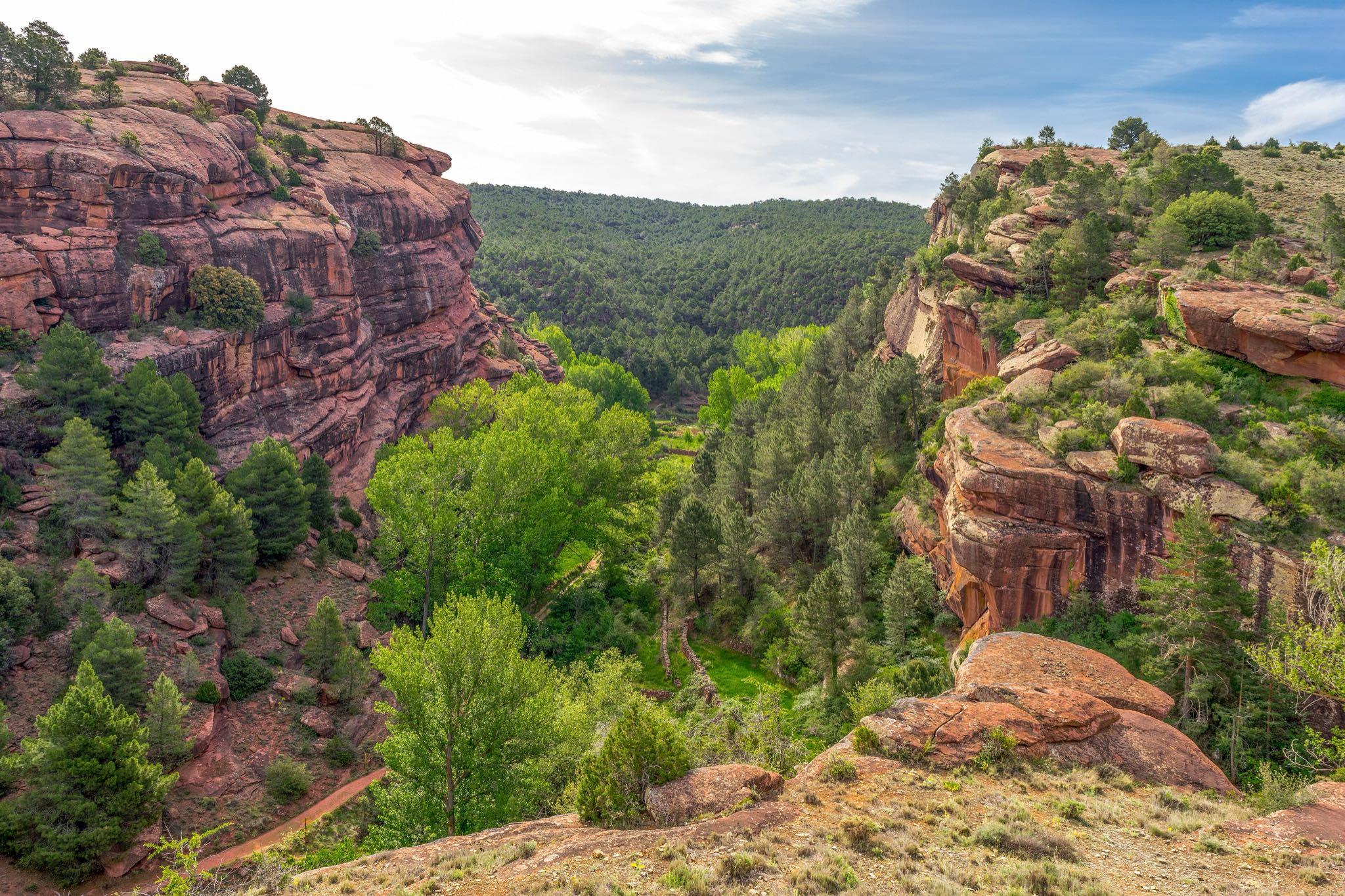 Cañón de arenisca roja con pinares en el Paisaje Protegido de los Pinares de Rodeno