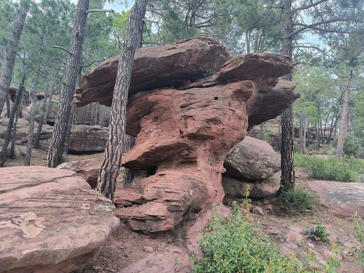 Roca de arenisca roja con forma de seta entre pinos en los Pinares de Rodeno