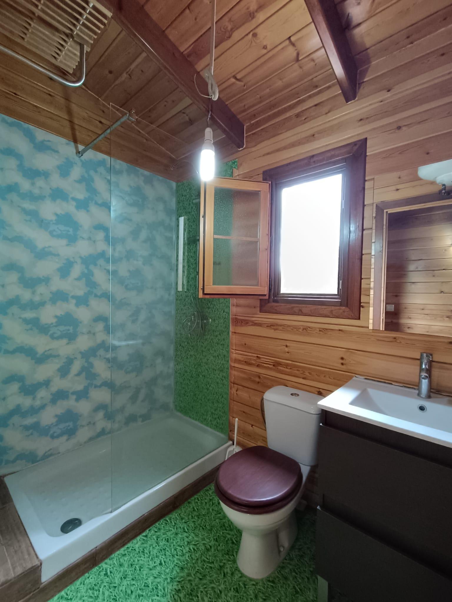 Baño con ducha de mampara de cristal, suelo verde, azulejos celestes con nubes, lavabo grande con espejo y ventana